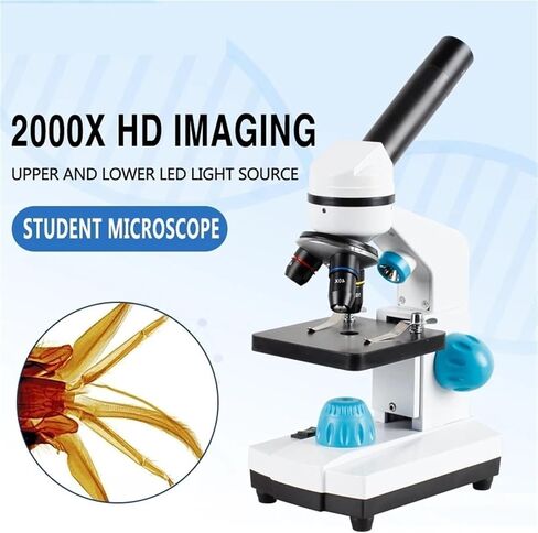 Microscope, Microscope 2000x Biology HD Scope Student Laboratory Education LED USB,for Homeschool Lab in Kuwait