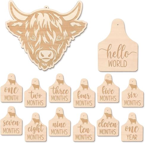 Huray Rayho Highland Cow Baby Monthly Milestone Cards, Wooden Photo Props | Baby Milestone Sign 14Pcs, Hello World Birth Announcement & Birth Stat Photo Prop, Nursery Decor, Newborn Gift in Saudi Arabia