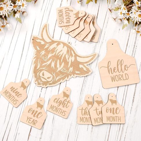Huray Rayho Highland Cow Baby Monthly Milestone Cards, Wooden Photo Props | Baby Milestone Sign 14Pcs, Hello World Birth Announcement & Birth Stat Photo Prop, Nursery Decor, Newborn Gift in Saudi Arabia