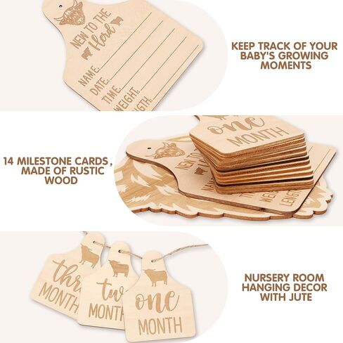 Huray Rayho Highland Cow Baby Monthly Milestone Cards, Wooden Photo Props | Baby Milestone Sign 14Pcs, Hello World Birth Announcement & Birth Stat Photo Prop, Nursery Decor, Newborn Gift in Saudi Arabia