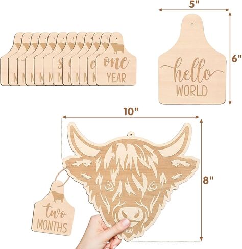 Huray Rayho Highland Cow Baby Monthly Milestone Cards, Wooden Photo Props | Baby Milestone Sign 14Pcs, Hello World Birth Announcement & Birth Stat Photo Prop, Nursery Decor, Newborn Gift in Saudi Arabia