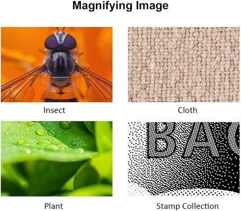 USB Microscope, USB Digital Microscope Handheld 1000X Magnification Camera 8 LED in Saudi Arabia