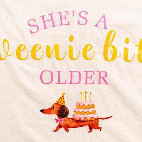 Upfirst She's A Weenie Bit Older Decal | Retro BBQ Cookout Theme Party Decor|Wiener Sign Balloon Arch Photo Backdrop Decal|Pink Funt Hot Dog Birthday Party Supplies in Kuwait