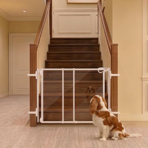 beeNbkks Clear Dog Gate, No Bottom Bar Pet Barrier with Dual Swing Door | Hardware Mount 30" Tall Acrylic Gate Fits 28"-43.5" Wide Space, Offering Trip-Free Walkthrough for Indoor Doorways Hallways in Saudi Arabia