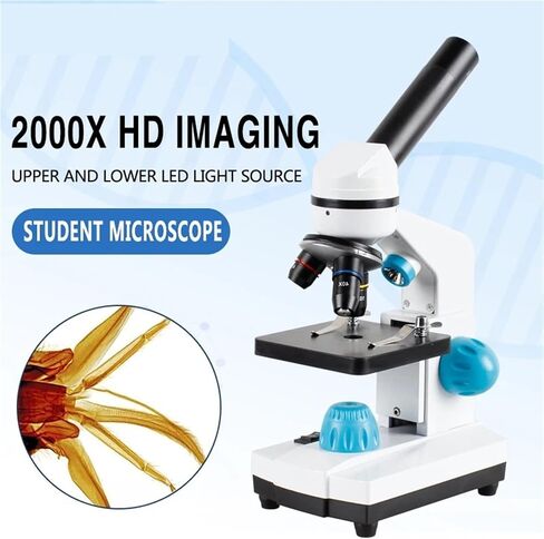 Microscope, Digital Microscope 40-2000x Biological HD Scope Student Laboratory Education LED USB Electronic Equipment Repair,for Homeschool Lab in Saudi Arabia