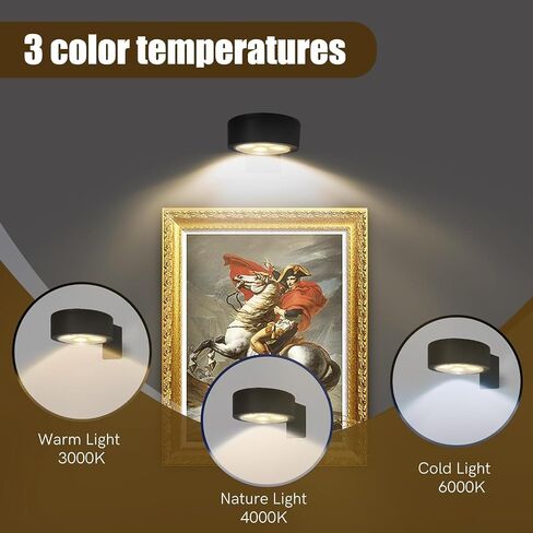 Wall Mounted Picture Light,3 PCS Magnetic Poster Light, 13 Types of RGB, Art Display Wall Mounted Decorative Light -Battery not Included in Saudi Arabia