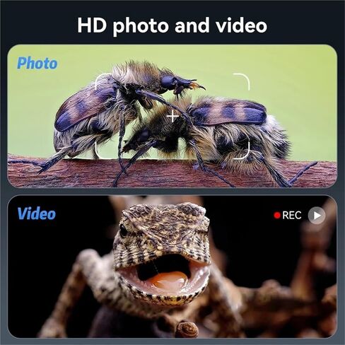 USB Microscope, Digital Electron Portable 5MP 7" Display Photo Video with 8LED Light 1200x Zoom Battery for Lab in Saudi Arabia