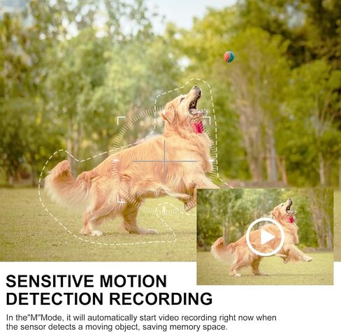 Hidden Camera Nanny cam 1080P HD Portable Video Camera with Motion Detection & Night Vision, No WiFi, Loop Recording Mini Camera for Home Office Outdoor (No Audio) in Saudi Arabia