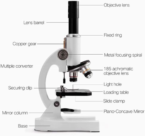 USB Microscope, Digital Microscope 64x-2400x Magnification Composite with Slide and Fill Light in Saudi Arabia