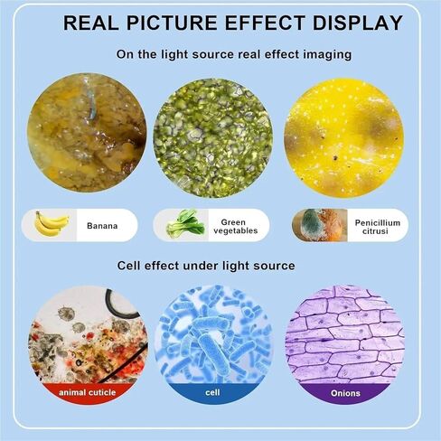 USB Microscope, Microscope, 40x-2000x Binocular Professional, LED Light in Saudi Arabia