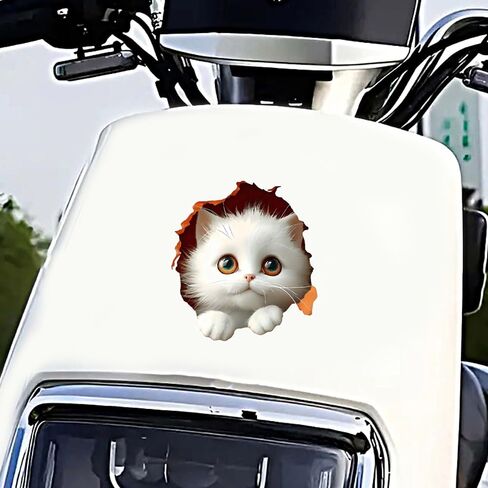 2 PCS White Persian Kitten Car Decals Vinyl Bumper Stickers Z-154 | White Persian kitten decals. Premium vinyl decals waterproof for car, truck, bumper, laptop, wall art. in Kuwait