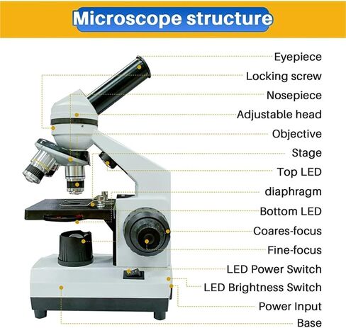 Microscope, Microscopes, Biological 16X Compound for Students Lab,for Homeschool Lab in Kuwait