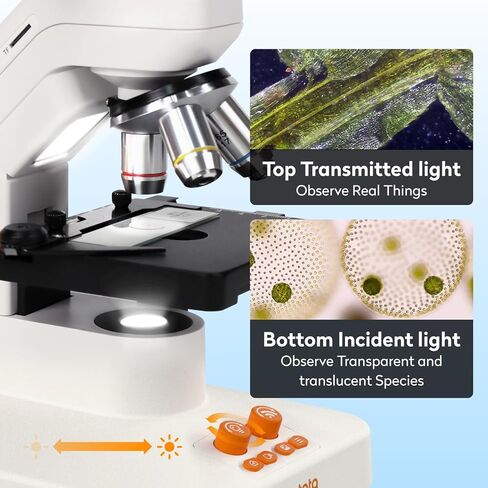 MT3-4 Digital Microscope 1200X USB, 7" Screen for Kids Adults | Professional Microscopio with 5MP CMOS & 3D Stage, Compatible with Windows, Mac, Pad & Phone in Saudi Arabia