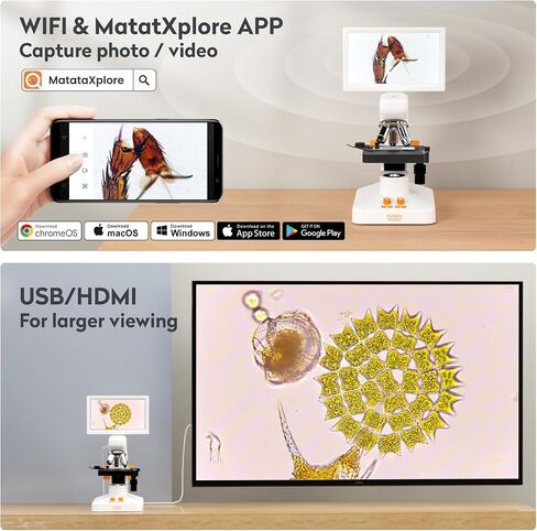 MT3-4 Digital Microscope 1200X USB, 7" Screen for Kids Adults | Professional Microscopio with 5MP CMOS & 3D Stage, Compatible with Windows, Mac, Pad & Phone in Saudi Arabia