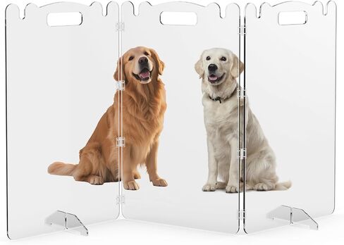 Clear Acrylic Dog Pet Gate - Transparent Foldable Freestanding 32in Tall | 99% Transparency Gentle Bond Seamlessly with Home No-Drill Tool-Free - for Small to Large Dogs Cats Indoor Stairs Doorways in Saudi Arabia