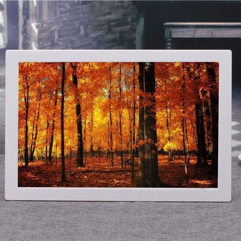 17-Inch Digital Photo Frame, Full HD 1080P Wall-Mounted Display with HDMI, USB, SD Support, Music & Video Playback in Saudi Arabia