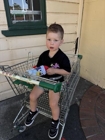 Silicone Shopping Cart Harness - Grey 2 Point in Kuwait