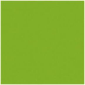 Rosco Roscolux Pea Green, 20x24 Color Effects Lighting Filter in Kuwait