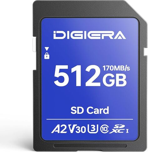 DIGIERA 64GB LS100 SDXC UHS-I Memory Card - up to 170MB/s, C10, U3, V30, 4K UHD, SD Card for Computers, Digital Cameras, Home Theatre Devices, Car Navigation Systems (1 Pack) in Saudi Arabia