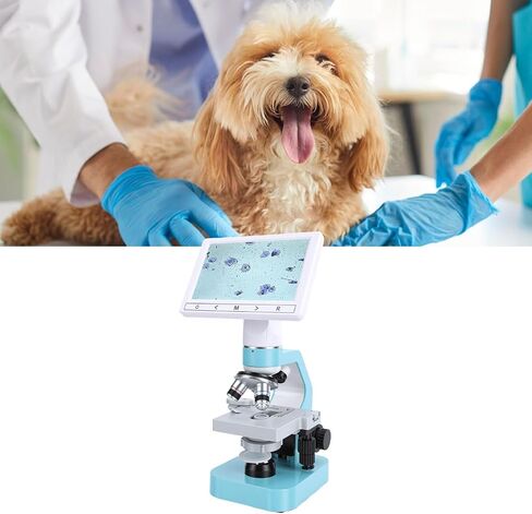 Binocular Microscope for Dog Ovulation Observation Pet Semen Testing, 7in HD Screen 4X 10x 40x Achromatic Objectives LED Light Source for Veterinary Lab Home in Saudi Arabia
