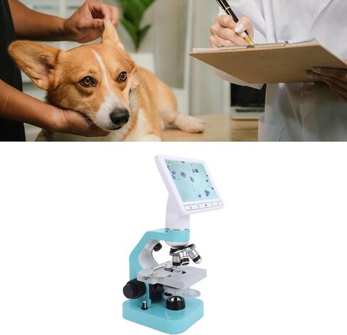 Binocular Microscope for Dog Ovulation Observation Pet Semen Testing, 7in HD Screen 4X 10x 40x Achromatic Objectives LED Light Source for Veterinary Lab Home in Saudi Arabia