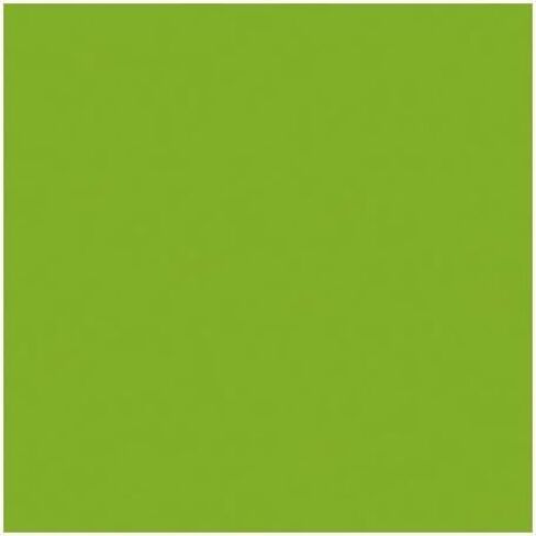 Rosco Roscolux Pea Green, 20x24 Color Effects Lighting Filter in Kuwait