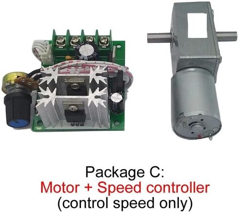 6V Small DC Gear Reduction Electronic Starter JGY370S 12V Double Shaft Worm Gear Electronic Starter 24V Self-Lock Package B 6V 30rpm Motor Drivers in Kuwait