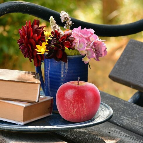 DOITOOL Artificial Red Fake Fruit Decorative Fruit Prop for Home Kitchen Wedding Display in Kuwait