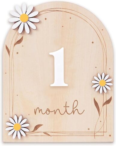Baby Monthly Milestone Signs, 1–12 Month Baby Milestone Markers, Newborn Photography Props, Nursery Decor (D17) in Kuwait