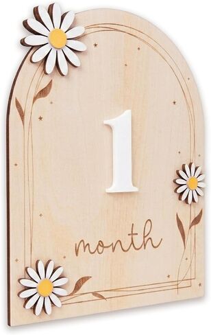 Baby Monthly Milestone Signs, 1–12 Month Baby Milestone Markers, Newborn Photography Props, Nursery Decor (D17) in Kuwait