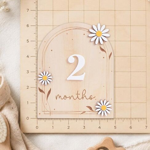 Baby Monthly Milestone Signs, 1–12 Month Baby Milestone Markers, Newborn Photography Props, Nursery Decor (D17) in Kuwait