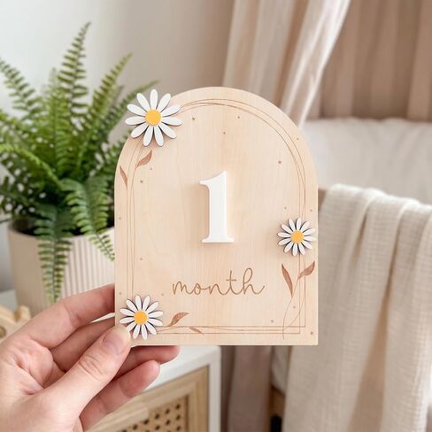 Baby Monthly Milestone Signs, 1–12 Month Baby Milestone Markers, Newborn Photography Props, Nursery Decor (D17) in Kuwait