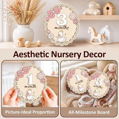 Wooden Baby Monthly Milestone Signs Swan Floral Pink Bow 1-24 Month | Newborn Girl Photography Props, Baby Shower Registry Gift, Infant Age Markers, Growth Tracker, Nursery Decor Keepsake, Oval in Kuwait