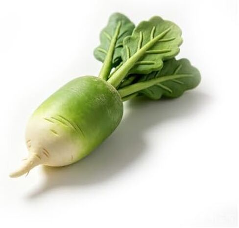 Artificial Green Radish, Realistic Fake Vegetable Simulation Radish Model, Lifelike Texture Faux Veggie Ornament for Kitchen Home Decoration, Photography Props in Kuwait