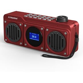 Avantree Boombyte - Portable Digital FM Radio with Bluetooth Speaker, Superb Sound, Metal Finish, MP3 Player, Support Micro SD Card & USB Audio Input, Long Play Time, Rechargeable, Easy to Use.