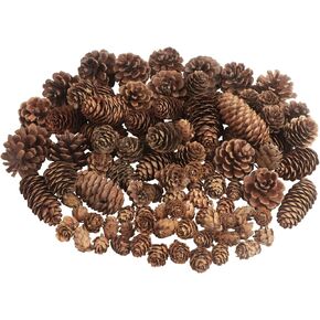 100 قطعة من زينة الصنوبر المخروطية لعيد الميلاد، أكواز الصنوبر الطبيعية السائبة للهدايا الحرفية، حشو مزهرية الخريف، حشو شجرة، تزيين طاولة الخريف والشتاء، ديكور عيد الميلاد، مقاس كبير متوسط ​​صغير مختلط in Kuwait