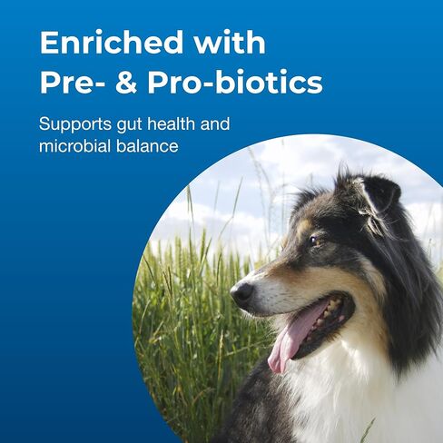 PetAg Dyne PRO HG أمعاء صحية للكلاب والجراء بعمر 8 أسابيع فما فوق - 32 أونصة - مكمل غذائي سائل عالي السعرات الحرارية مع مواد ما قبل وما بعد الحيوية - يدعم القدرة على التحمل وصحة الأمعاء - نكهة الفانيليا الحلوة in Kuwait