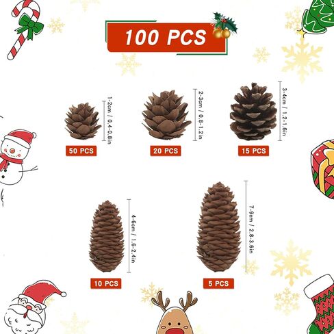 100 قطعة من زينة الصنوبر المخروطية لعيد الميلاد، أكواز الصنوبر الطبيعية السائبة للهدايا الحرفية، حشو مزهرية الخريف، حشو شجرة، تزيين طاولة الخريف والشتاء، ديكور عيد الميلاد، مقاس كبير متوسط ​​صغير مختلط in Kuwait