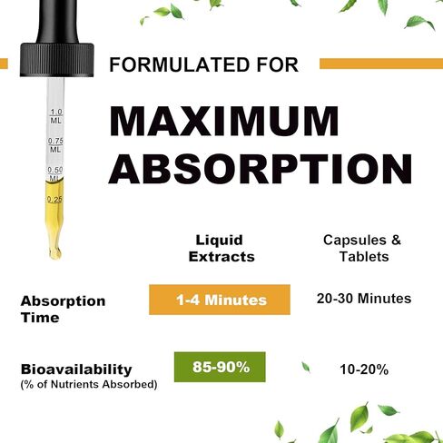 Magnesium 500mg Liquid Drops - High Absorption 5-in-1 Magnesium Complex Supplement with Glycinate, Malate, Citrate, Taurate - for Bone, Muscles, Nerves & Energy - Vegan Formula, Sugar Free, 2 Fl.oz in Kuwait