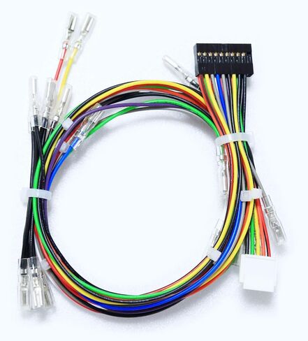 Brook Fighting Board Cable 20-Pin Harness with 4-Pin Button Harness for DIY Arcade Stick Builds, Compatible with Brook Fighting Boards, Sanwa and Seimitsu Buttons, Joystick and Button Wiring Set in Saudi Arabia