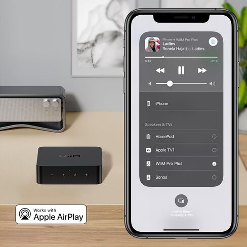 WiiM Pro Plus Music Streamer for Stereo Systems, Modernize Your Hi-Fi | Upgrade Your Stereo with Hi-Res Streaming, AirPlay 2, Spotify Connect, and Smart Control without Replacing Your Speakers in Saudi Arabia