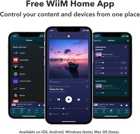 WiiM Pro Plus Music Streamer for Stereo Systems, Modernize Your Hi-Fi | Upgrade Your Stereo with Hi-Res Streaming, AirPlay 2, Spotify Connect, and Smart Control without Replacing Your Speakers in Saudi Arabia