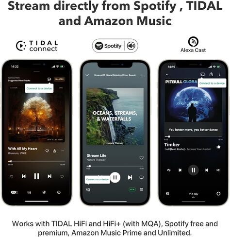 WiiM Pro Plus Music Streamer for Stereo Systems, Modernize Your Hi-Fi | Upgrade Your Stereo with Hi-Res Streaming, AirPlay 2, Spotify Connect, and Smart Control without Replacing Your Speakers in Saudi Arabia