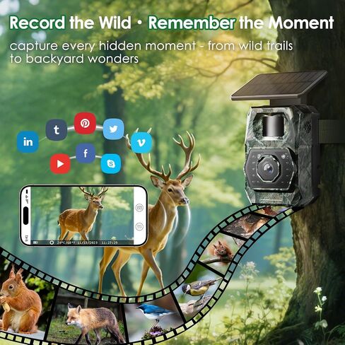 Trail Cameras with Night Vision Motion Activated - WiFi Bluetooth 4K 64MP ﻿ | Solar Game Camera, IP66 Waterproof, with 6000mAh Battery and 32GB Memory Card Cameras for Outdoor and Backyard in Kuwait