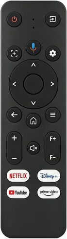 Replacement Remote for Projector in Saudi Arabia