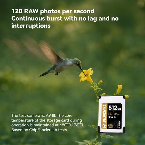 Gold II 512GB CFexpress 4.0 Type A Card VPG800 Certified Sustained Read 1780MB/s & Write 860MB/s for Photographers & Videographers - Sony Alpha FX RAW 8K/12K Video in Kuwait