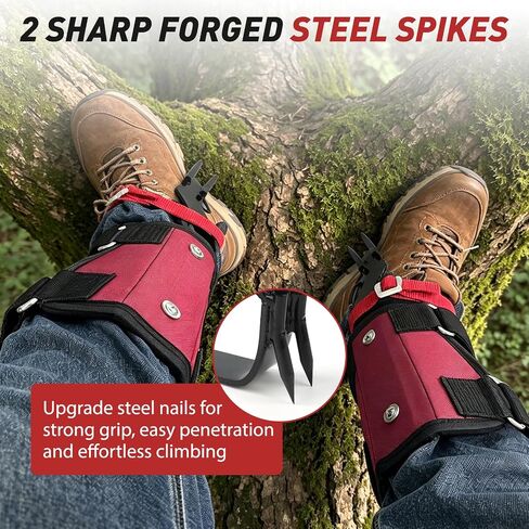 Tree Climbing Spikes Set, Professional Climbing Gear, Adjustable Climb Kit | 350 lbs Load Capacity, Arborist Tree Climb Spurs for Outdoor Use, Climbers, Tree Trimming, Hunting, Fruit Harvesting in Saudi Arabia