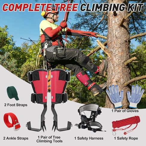 Tree Climbing Spikes Set, Professional Climbing Gear, Adjustable Climb Kit | 350 lbs Load Capacity, Arborist Tree Climb Spurs for Outdoor Use, Climbers, Tree Trimming, Hunting, Fruit Harvesting in Saudi Arabia