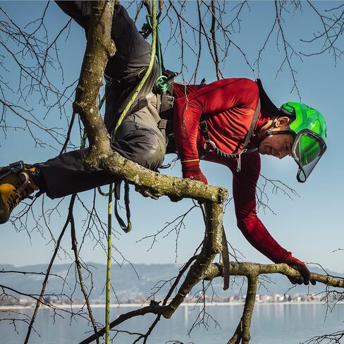 Protos Integral Arborist Helmet - White & Black in Saudi Arabia