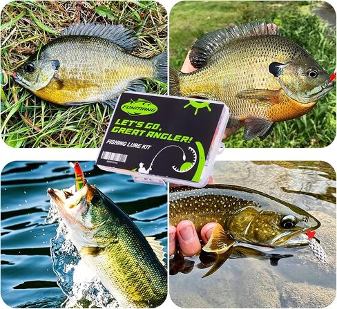 FONMANG Fishing Lures - Fishing Tackle kit with Fishing Spoons, Swim Bait, Jerk baits, Lure & Fishing Accessories, Bass Fishing Kit Also for Trout, Bluegill, Small Fishing Tackle Box for Freshwater in Kuwait